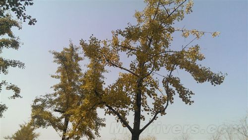 商务范儿十足的HTC One Max评测（图）8