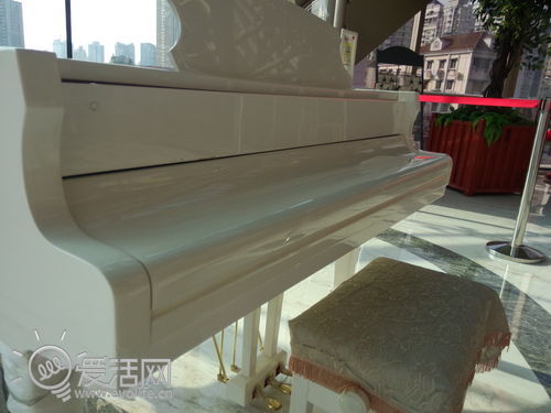 一袭礼服慧眼识夜 夜拍新秀OPPO R1试玩11