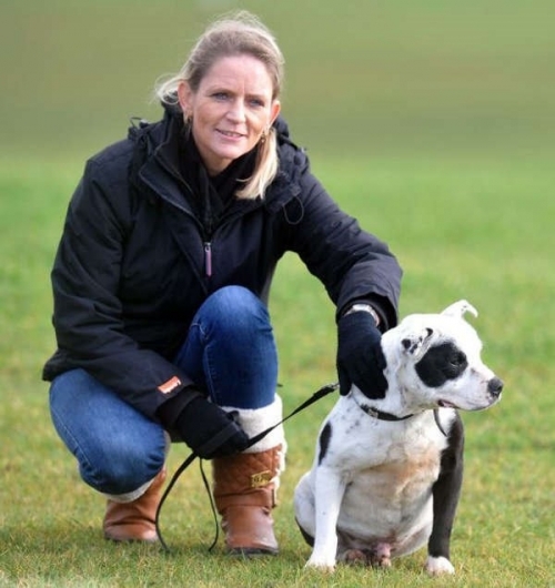 狗狗走失十年凭芯片神奇被寻回