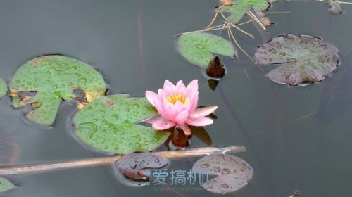 开启2K新篇章 vivo Xplay3S详细评测(图)0