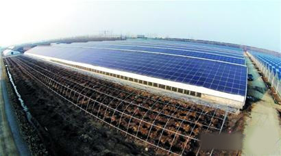 即墨光伏大棚种菜又发电