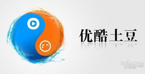 收入证明_优酷广告收入(2)