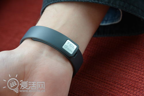 健康偶像养成计划 TCL Idol X+ & Boom Band试玩2