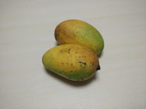 OPPO Find 7详细评测 耳朵眼睛获得满足0