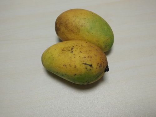 OPPO Find 7详细评测 耳朵眼睛获得满足3