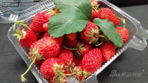 799元低价大屏手机 红米Note评测