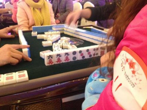 百合网成都麻将相亲会 新颖时尚吸引众多单身