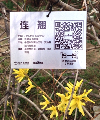 百度百科在北京植物园落地“二维码” 营造“五一”游园新体验0 百度百科在北京植物园落地“二维码” 营造“五一”游园新体验0