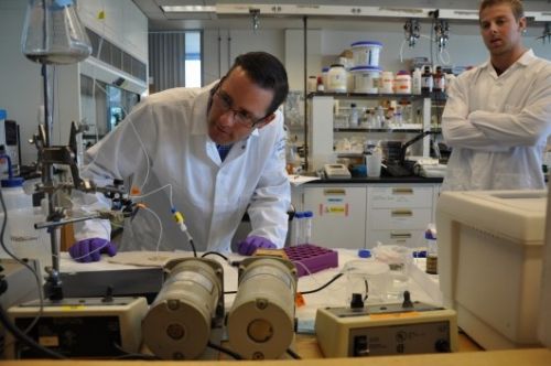 研究表明石墨烯对人体和环境存危害;MTK今年