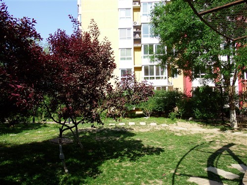 50倍光学变焦 富士长焦相机S1深度评测_业界