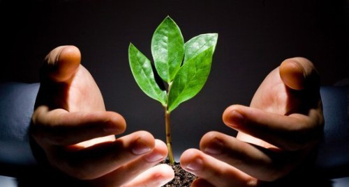 【行业报告】蓝皮书:2013年度中国传媒业资本