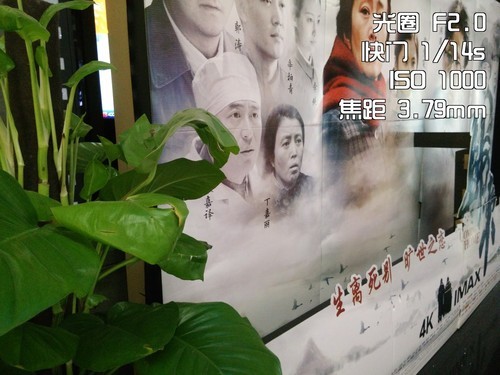 无缘奶油般焦外 手机大光圈虚化效果实测13