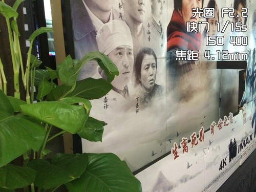 无缘奶油般焦外 手机大光圈虚化效果实测14