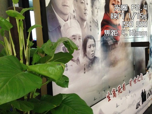 无缘奶油般焦外 手机大光圈虚化效果实测15