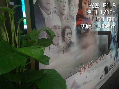 无缘奶油般焦外 手机大光圈虚化效果实测12