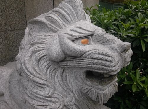 均衡、诚意与节操，零售版一加手机评测13