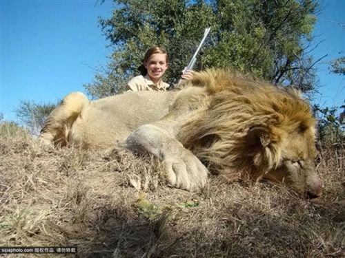 <em>少女猎杀</em>野生动物并开心合影 网友怒了_业界新