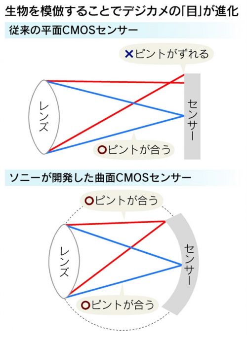 索尼曲面CMOS传感器拍照样张流出