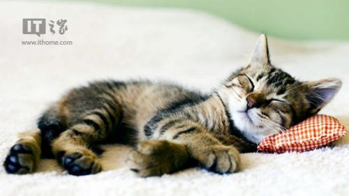 Win7\/Win8.1壁纸下载:萌萌哒喵星人