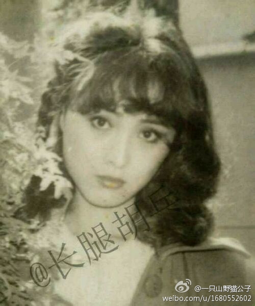 刘亦菲家族照曝光 网友:基因太强大