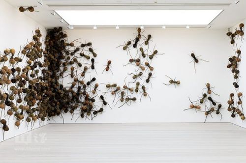 萨奇画廊里的巨型蚂蚁_业界新闻_元器件交易网