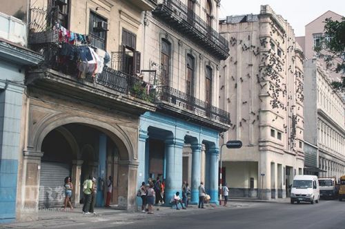 萨奇画廊里的巨型蚂蚁