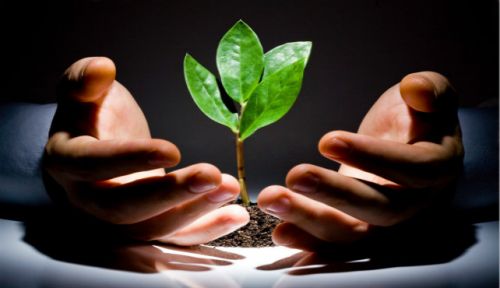 近期针对美国风投领域的五点看法