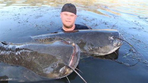 德国汉子20分钟连逮2条巨型鲶鱼:体长2.1米