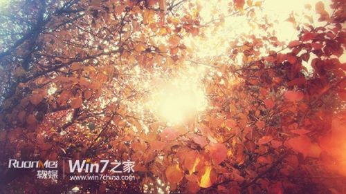 Ubuntu 14.10社区壁纸专题下载(12P)