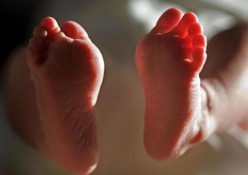 全世界人口将爆棚 本世纪末或接近百亿_业界新