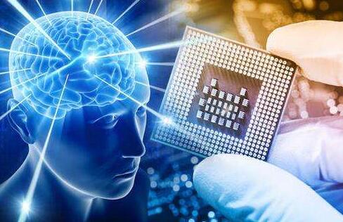 小白鼠?芯片大脑可用来模拟药物对大脑影响