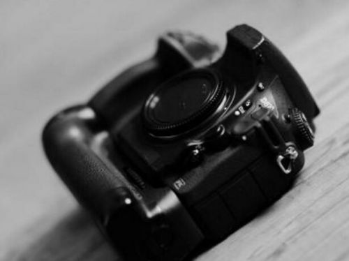 春天出去浪 又开始烧相机了