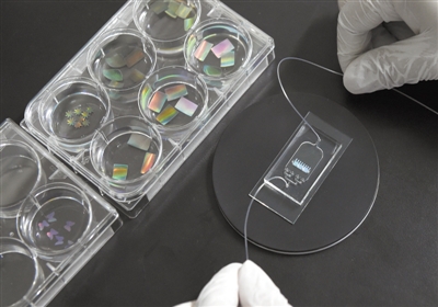 【突破】浦东推人才发展35条;301关税加税建