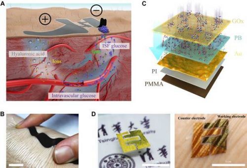 柔性物理或化学传感器10大最新研究成果7