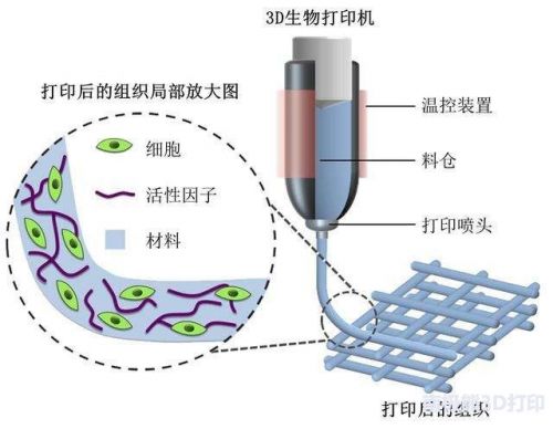 3D打印技术在生物医用材料产业应用展望7