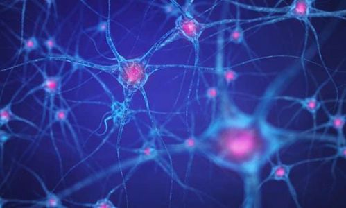 机器的崛起：技术已经进化到超出人类的控制？4