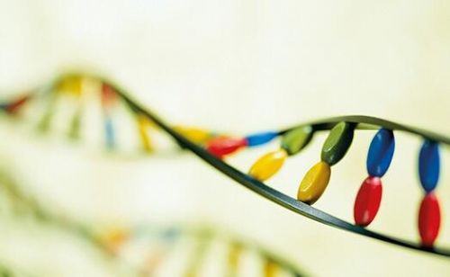 生物产业创新论坛在成都高新区举办0