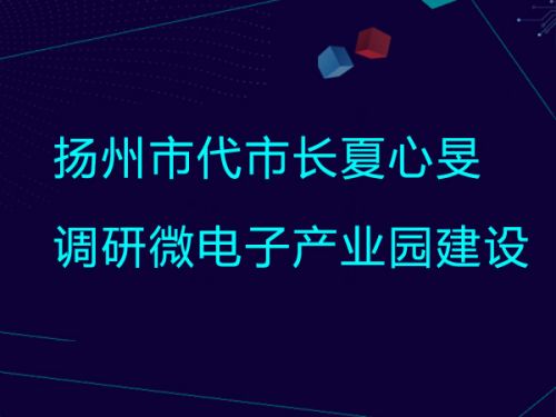 扬州市代市长夏心旻调研微电子产业园建设0