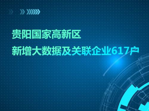 贵阳国家高新区新增大数据及关联企业617户0