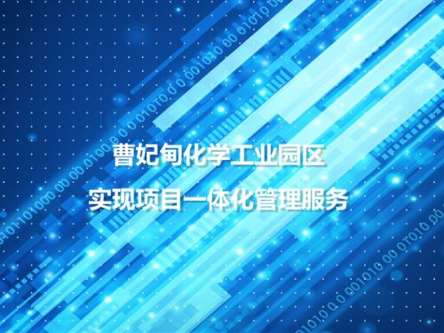 曹妃甸化学工业园区 实现项目一体化管理服务0