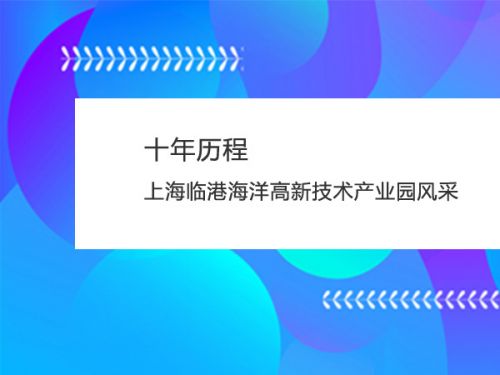 十年历程 上海临港海洋高新技术产业园风采0