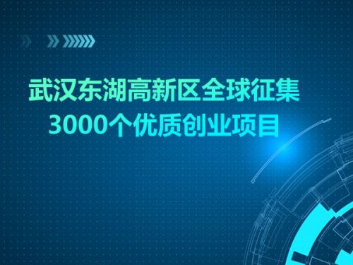 武汉东湖高新区全球征集3000个优质创业项目0