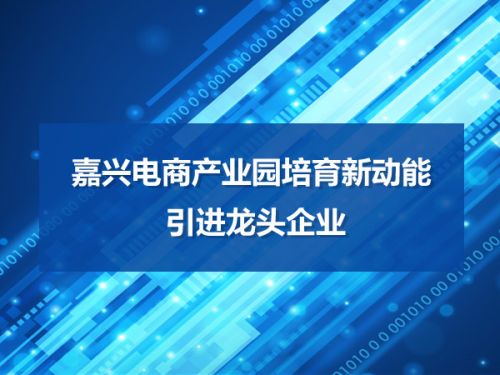 嘉兴电商产业园培育新动能 引进龙头企业0