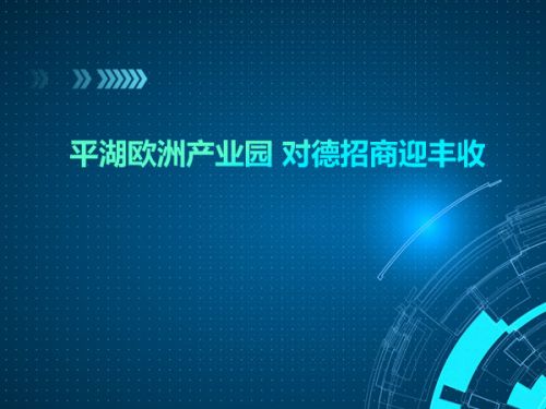 平湖欧洲产业园 对德招商迎丰收0