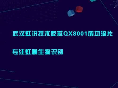 武汉虹识技术乾芯QX8001成功流片 专注虹膜生物识别0