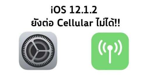 iOS 12.1.2信号问题如何解?网友来支招!